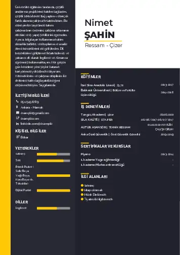 Ressam Cv Örnekleri cv indir